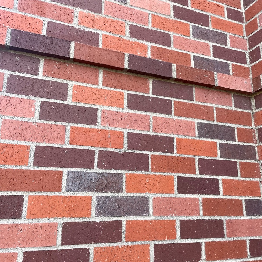 Meet your Posher, Monica